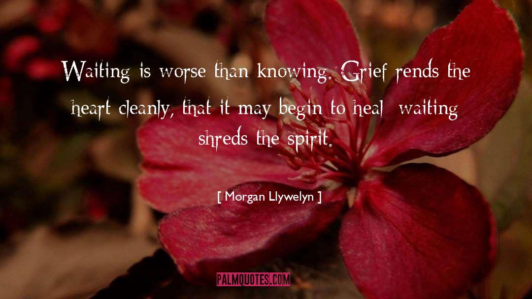 Morgan Llywelyn Quotes: Waiting is worse than knowing.