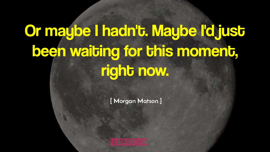 Morgan Matson Quotes: Or maybe I hadn't. Maybe