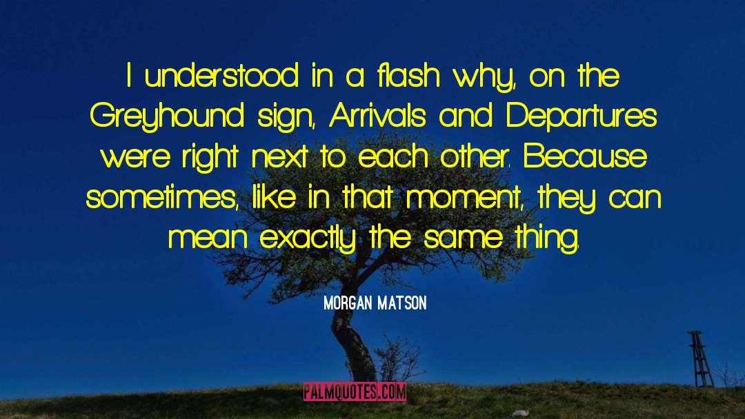 Morgan Matson Quotes: I understood in a flash