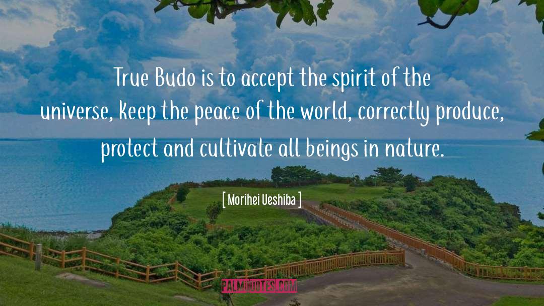 Morihei Ueshiba Quotes: True Budo is to accept
