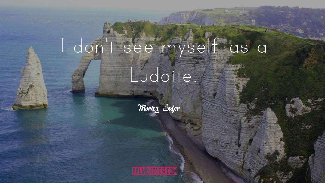 Morley Safer Quotes: I don't see myself as