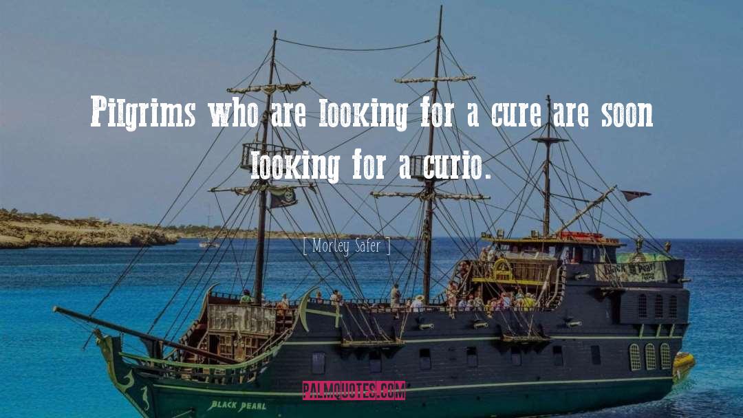 Morley Safer Quotes: Pilgrims who are looking for