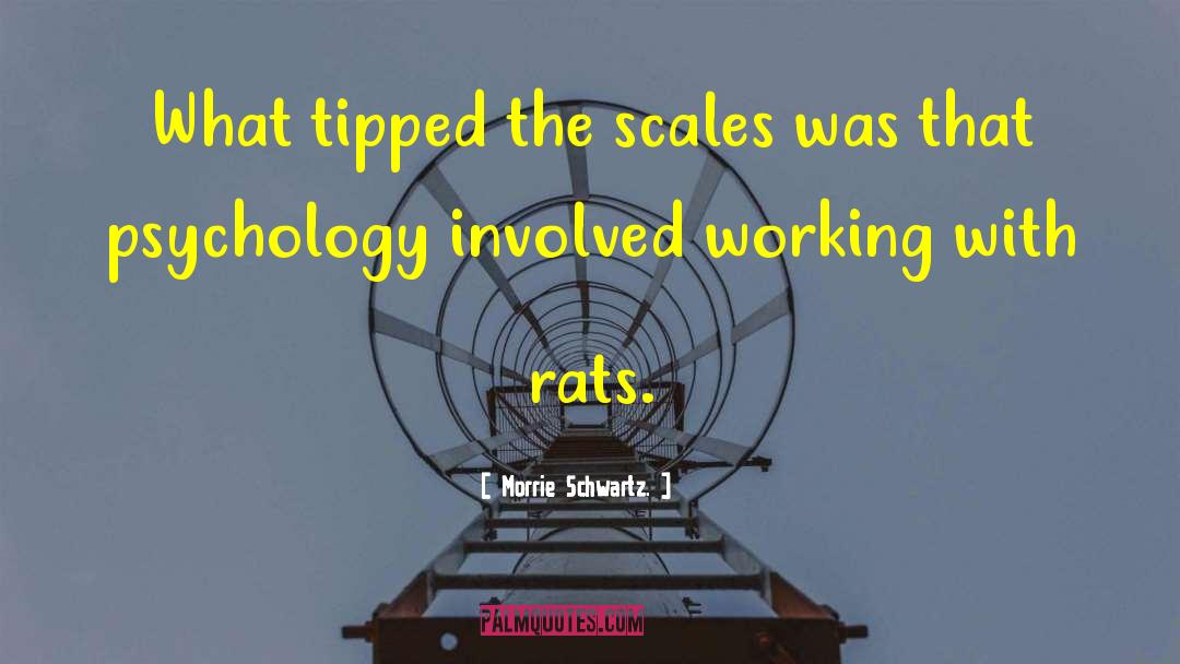 Morrie Schwartz Quotes: What tipped the scales was