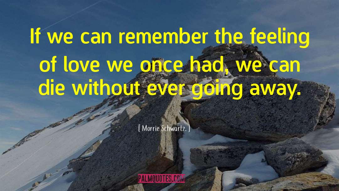 Morrie Schwartz Quotes: If we can remember the