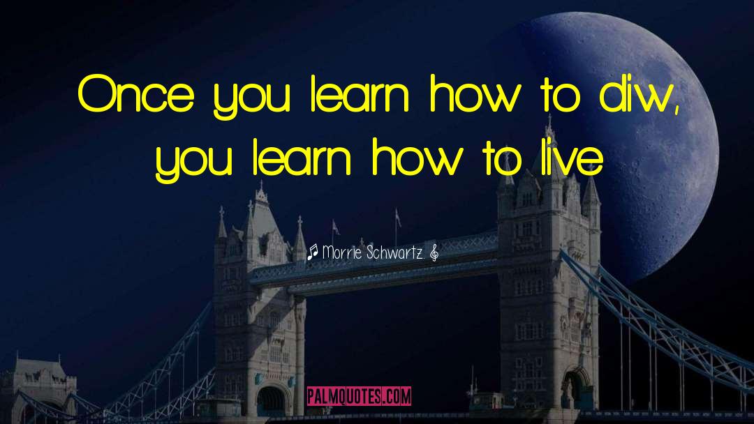 Morrie Schwartz Quotes: Once you learn how to