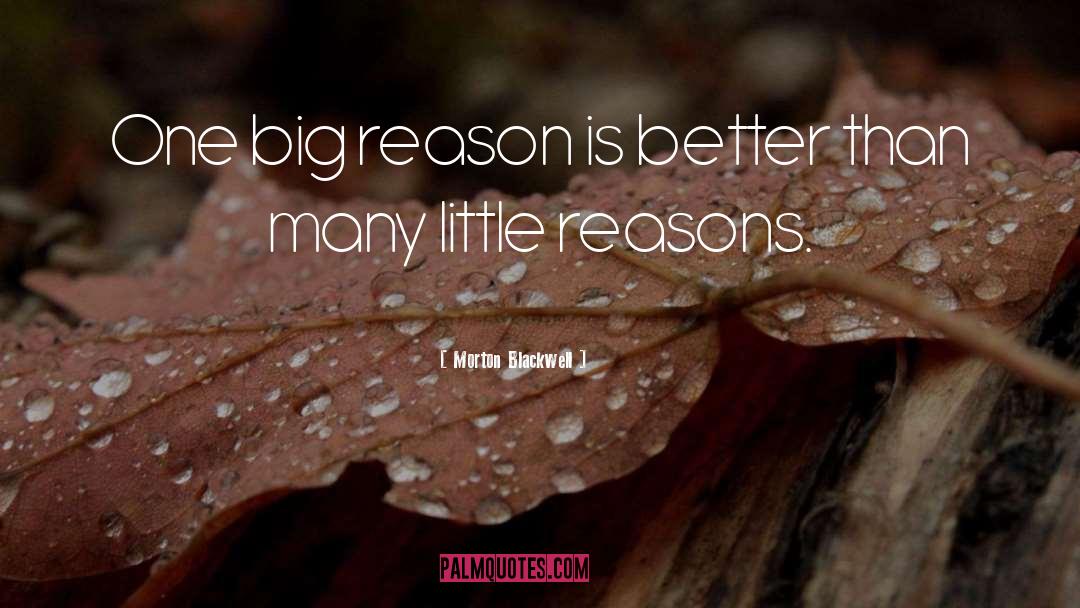 Morton Blackwell Quotes: One big reason is better