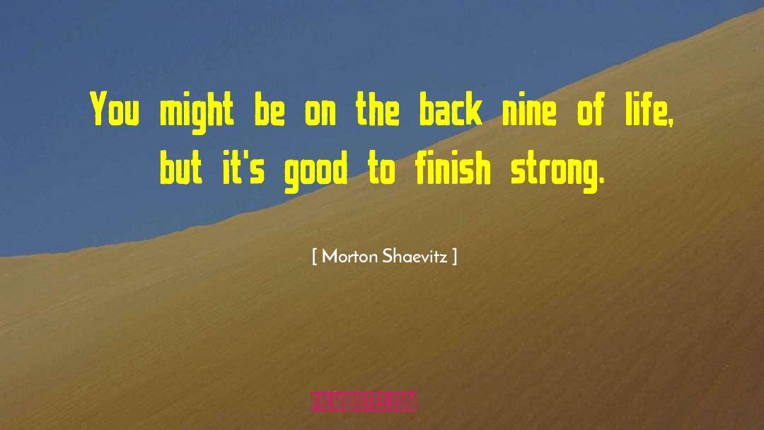 Morton Shaevitz Quotes: You might be on the