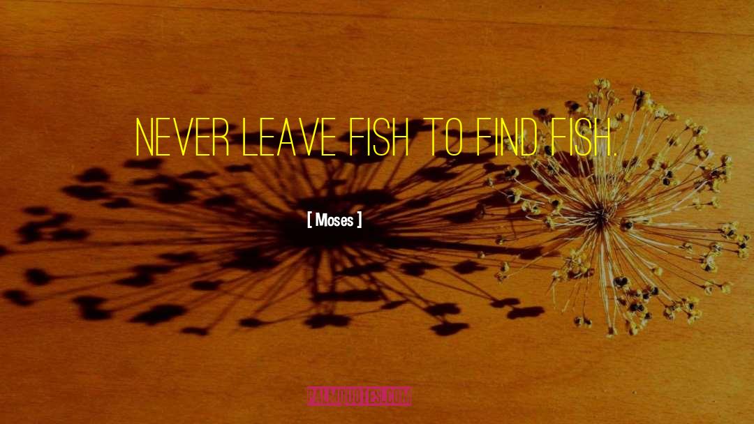 Moses Quotes: Never leave fish to find