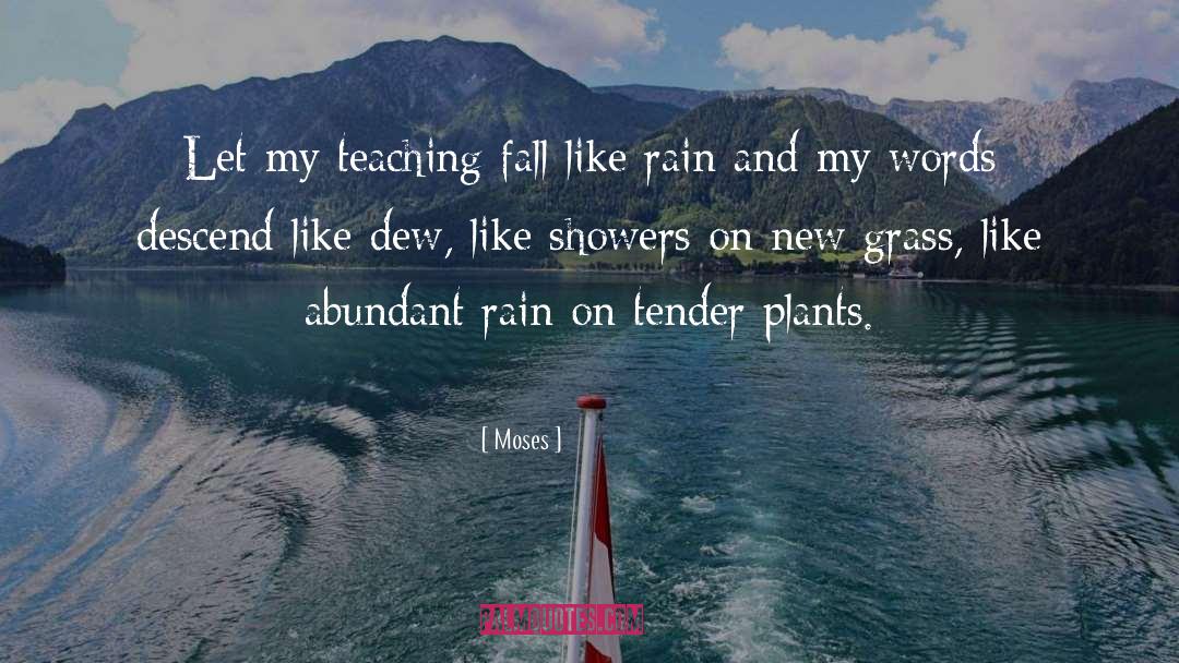 Moses Quotes: Let my teaching fall like