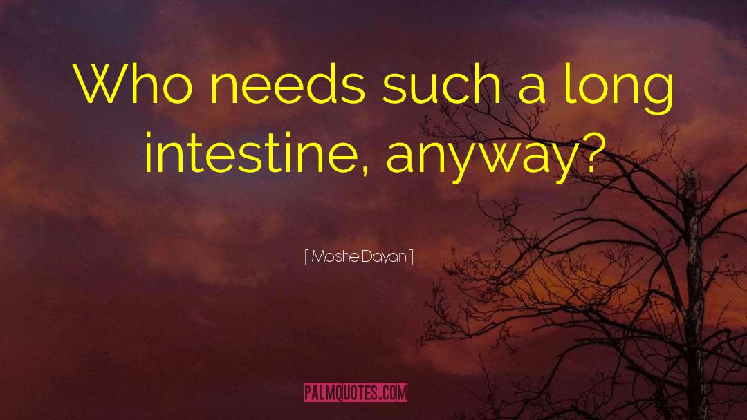 Moshe Dayan Quotes: Who needs such a long