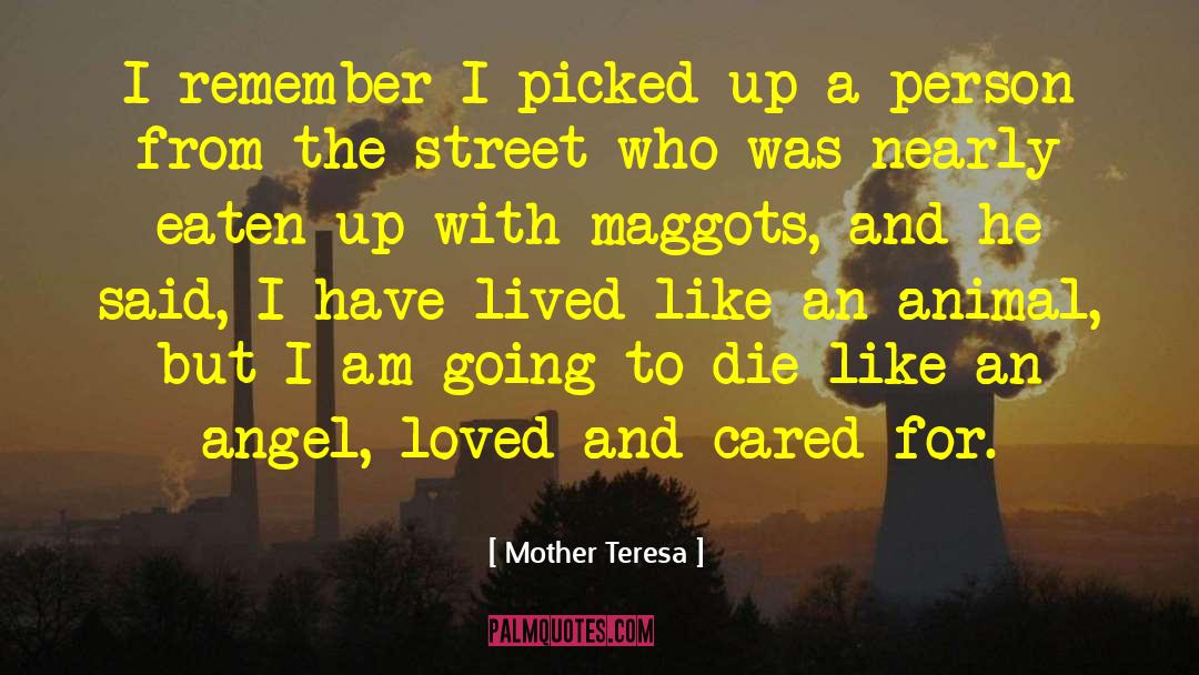 Mother Teresa Quotes: I remember I picked up
