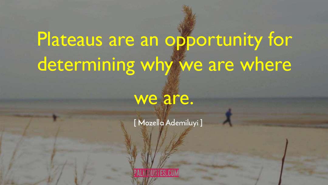 Mozella Ademiluyi Quotes: Plateaus are an opportunity for