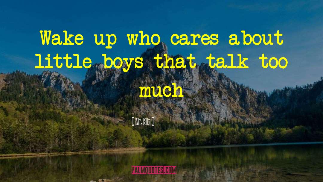 Mr.  Big Quotes: Wake up who cares about