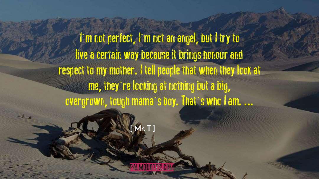 Mr. T Quotes: I'm not perfect, I'm not