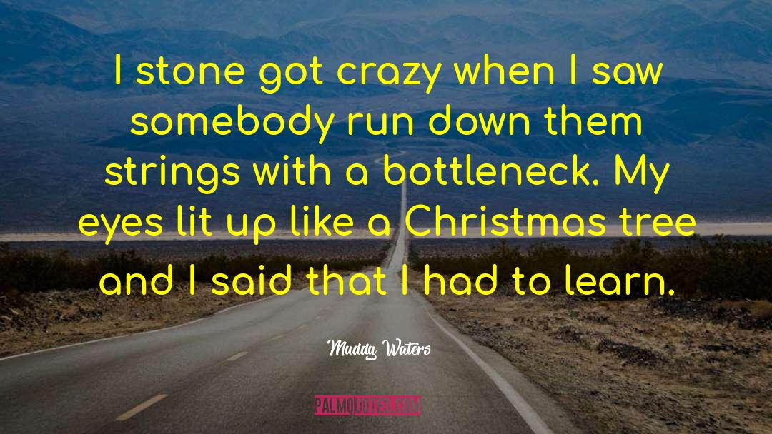 Muddy Waters Quotes: I stone got crazy when