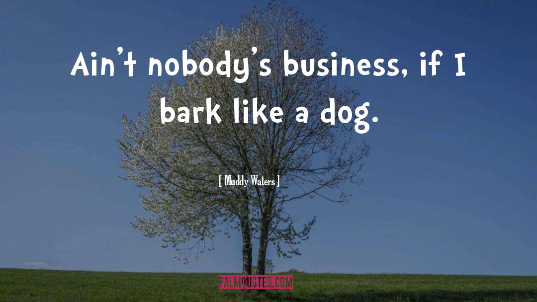 Muddy Waters Quotes: Ain't nobody's business, if I