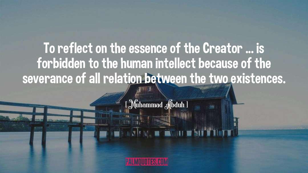 Muhammad Abduh Quotes: To reflect on the essence