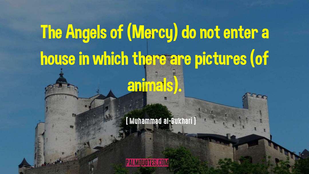 Muhammad Al-Bukhari Quotes: The Angels of (Mercy) do