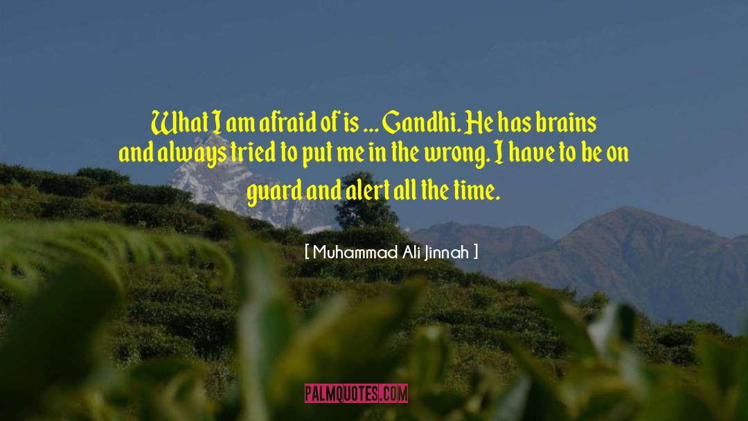 Muhammad Ali Jinnah Quotes: What I am afraid of