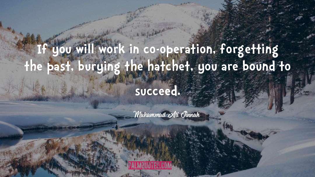 Muhammad Ali Jinnah Quotes: If you will work in