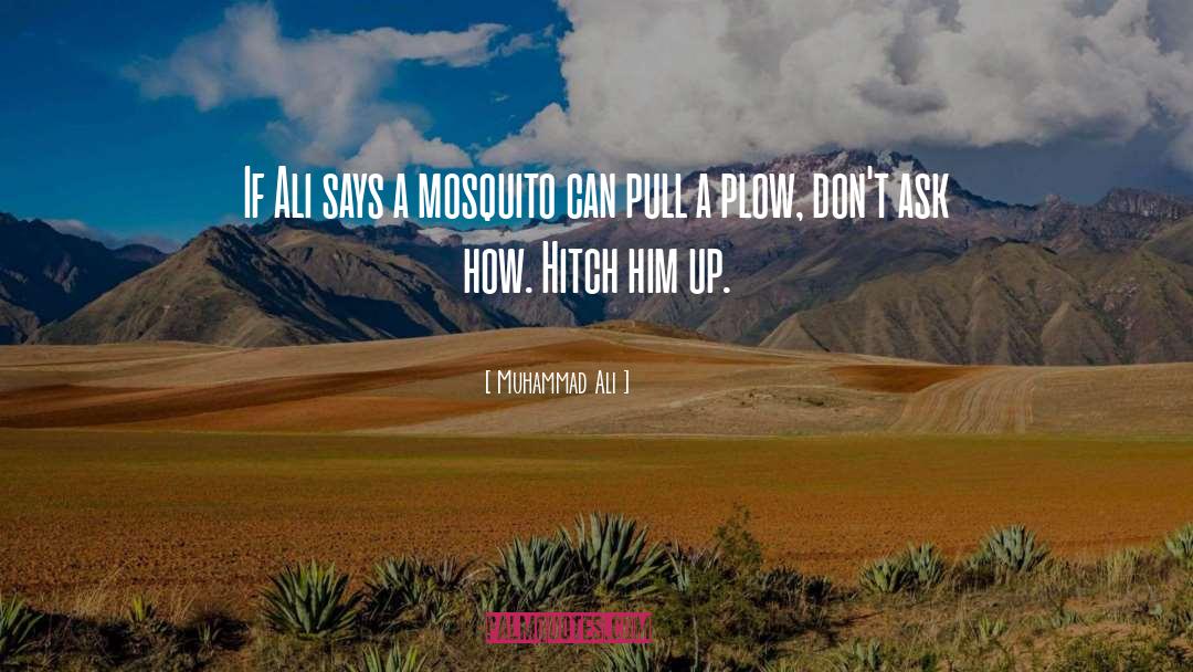 Muhammad Ali Quotes: If Ali says a mosquito