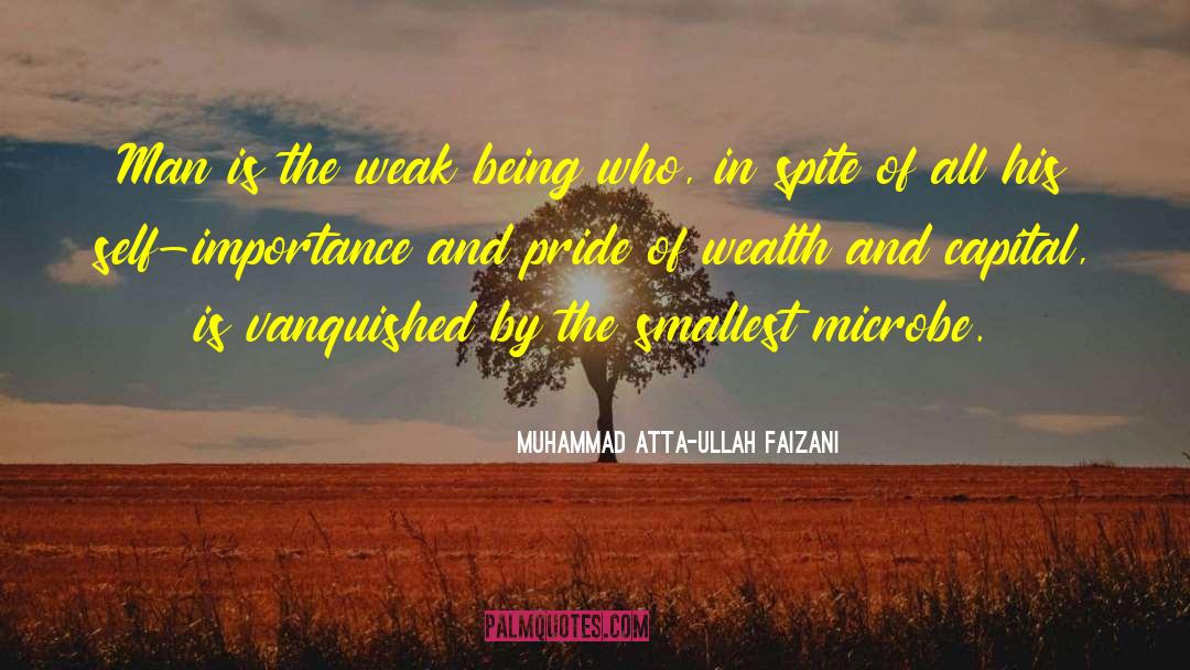 Muhammad Atta-ullah Faizani Quotes: Man is the weak being