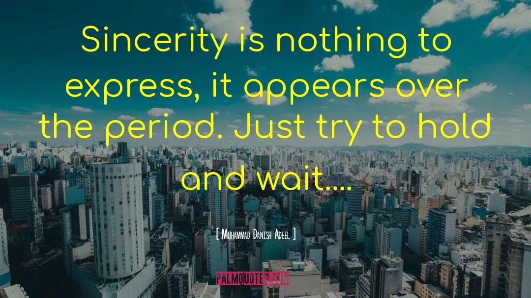 Muhammad Danish Adeel Quotes: Sincerity is nothing to express,