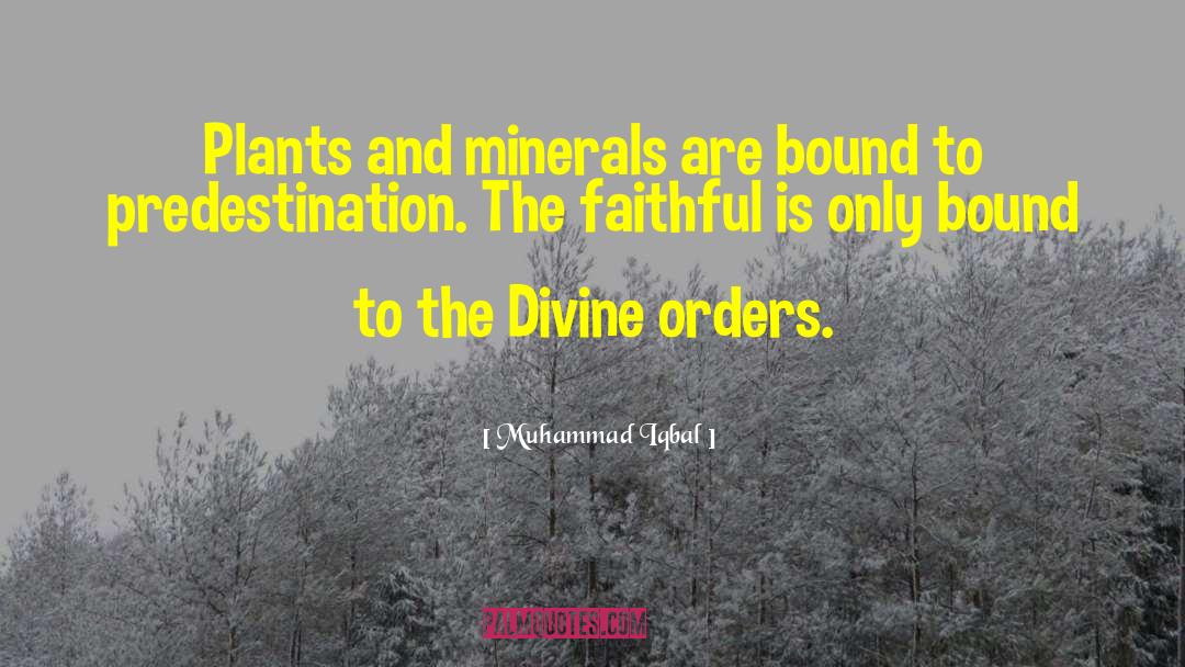 Muhammad Iqbal Quotes: Plants and minerals are bound