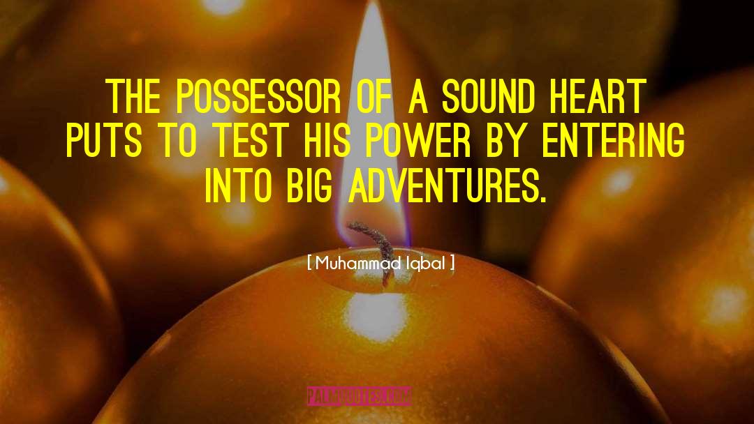Muhammad Iqbal Quotes: The possessor of a sound