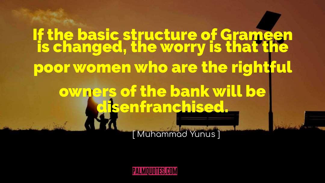 Muhammad Yunus Quotes: If the basic structure of