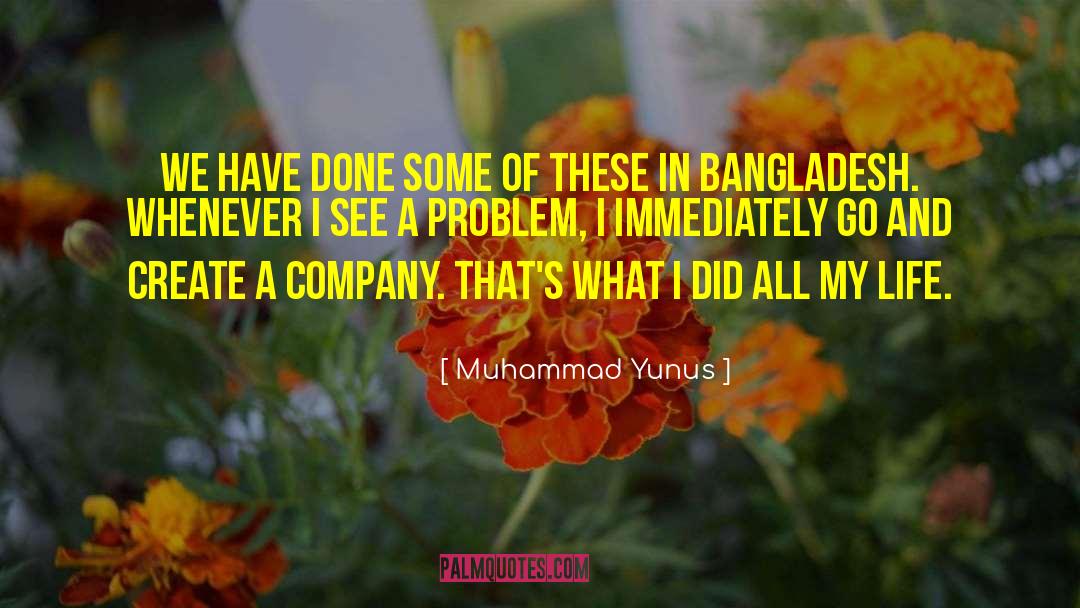 Muhammad Yunus Quotes: We have done some of