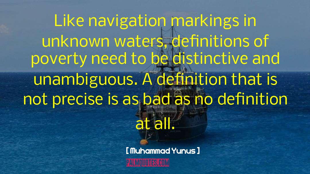 Muhammad Yunus Quotes: Like navigation markings in unknown