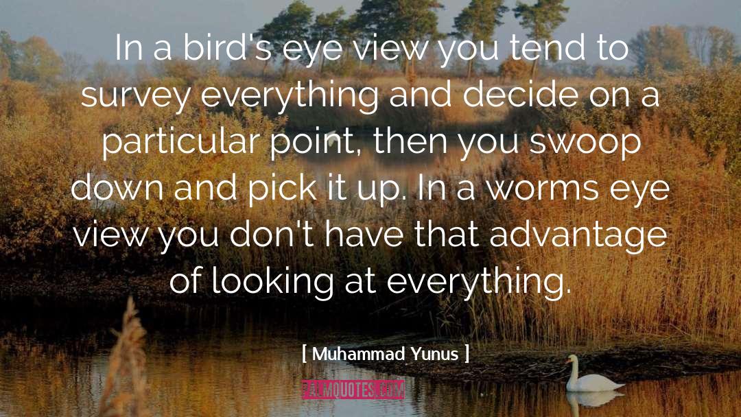 Muhammad Yunus Quotes: In a bird's eye view