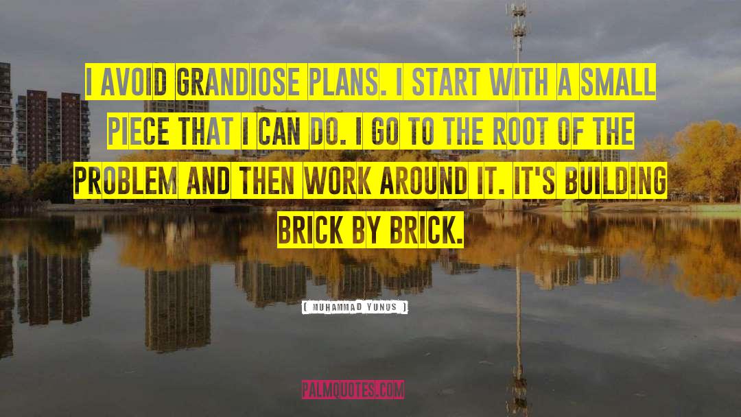 Muhammad Yunus Quotes: I avoid grandiose plans. I