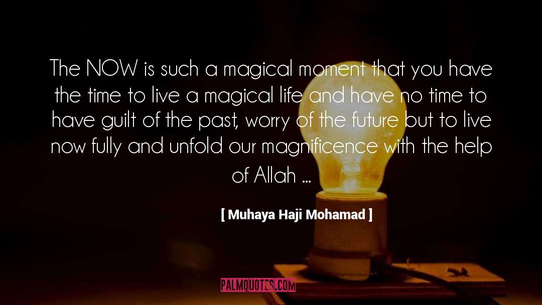 Muhaya Haji Mohamad Quotes: The NOW is such a