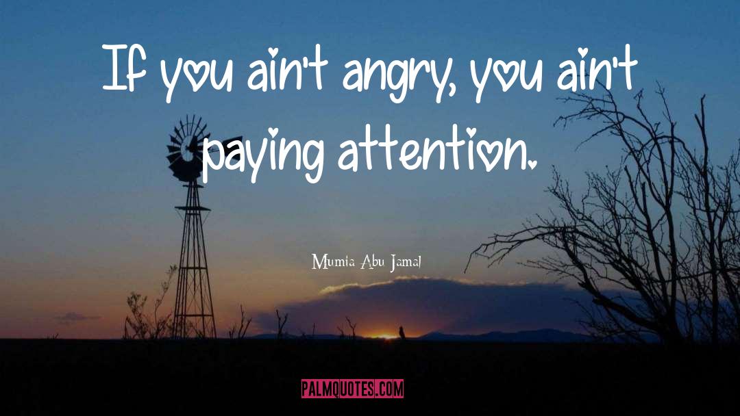 Mumia Abu-Jamal Quotes: If you ain't angry, you