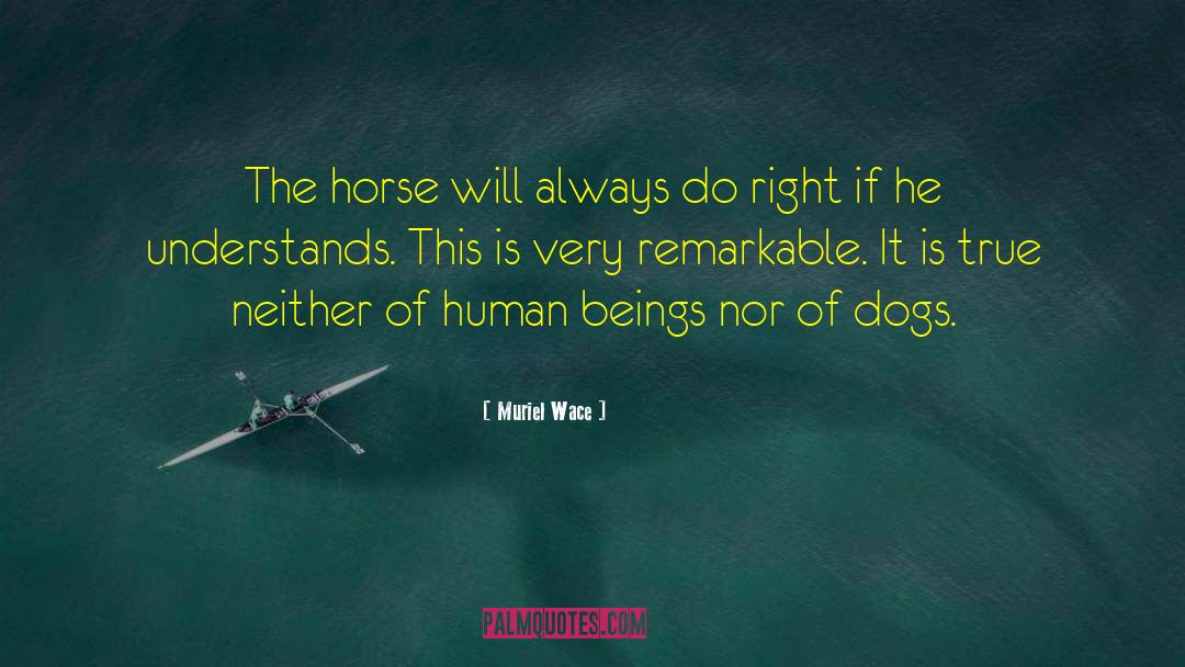 Muriel Wace Quotes: The horse will always do