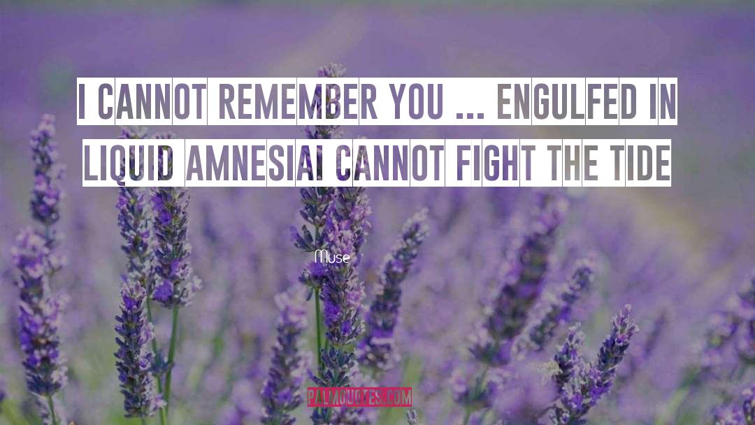 Muse Quotes: I Cannot Remember You<br> ...