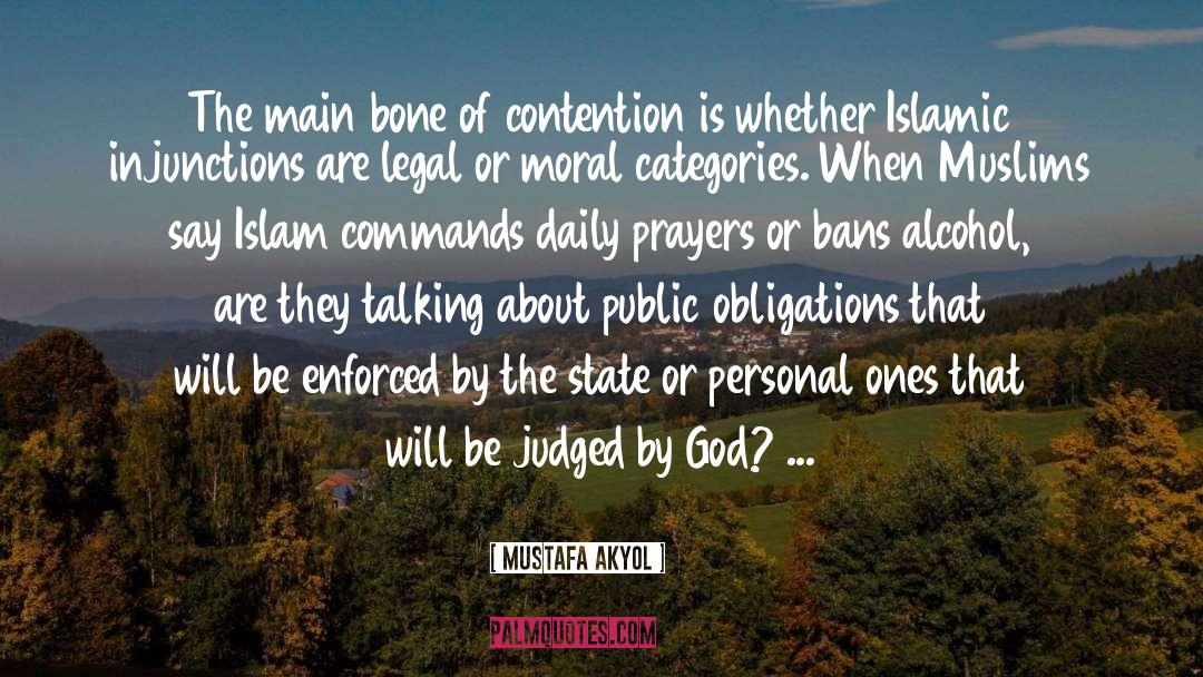 Mustafa Akyol Quotes: The main bone of contention