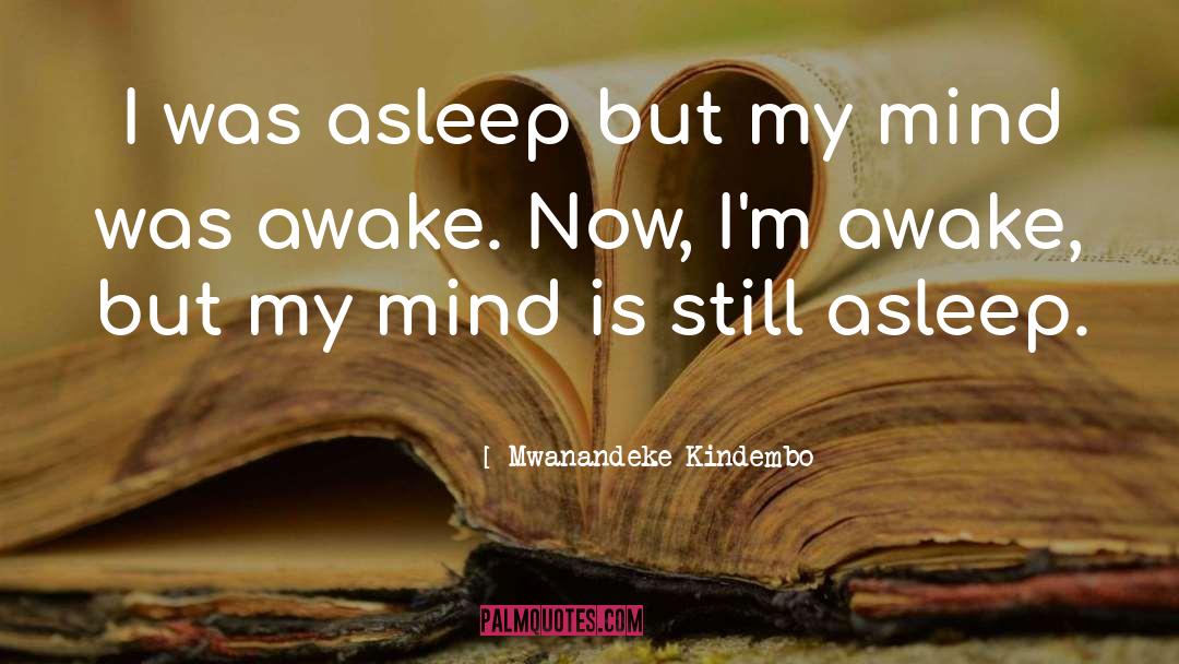 Mwanandeke Kindembo Quotes: I was asleep but my