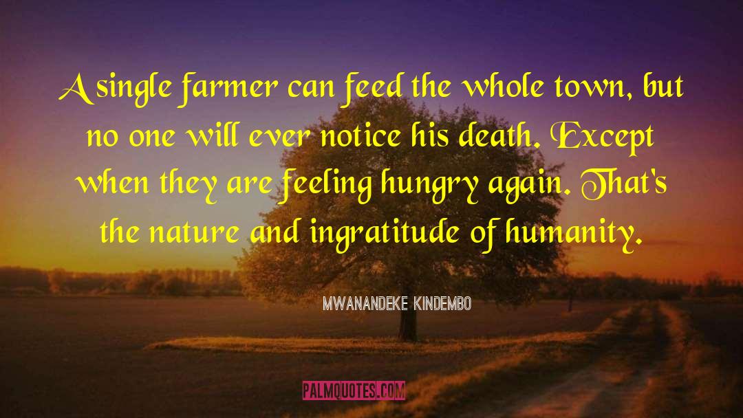 Mwanandeke Kindembo Quotes: A single farmer can feed