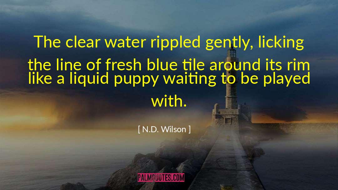 N.D. Wilson Quotes: The clear water rippled gently,