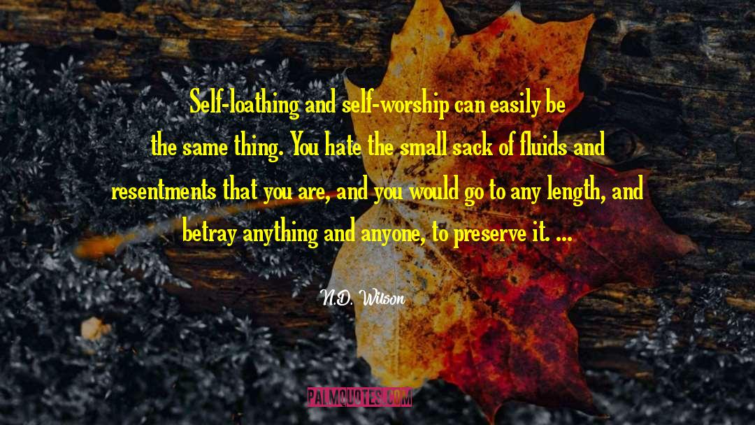 N.D. Wilson Quotes: Self-loathing and self-worship can easily