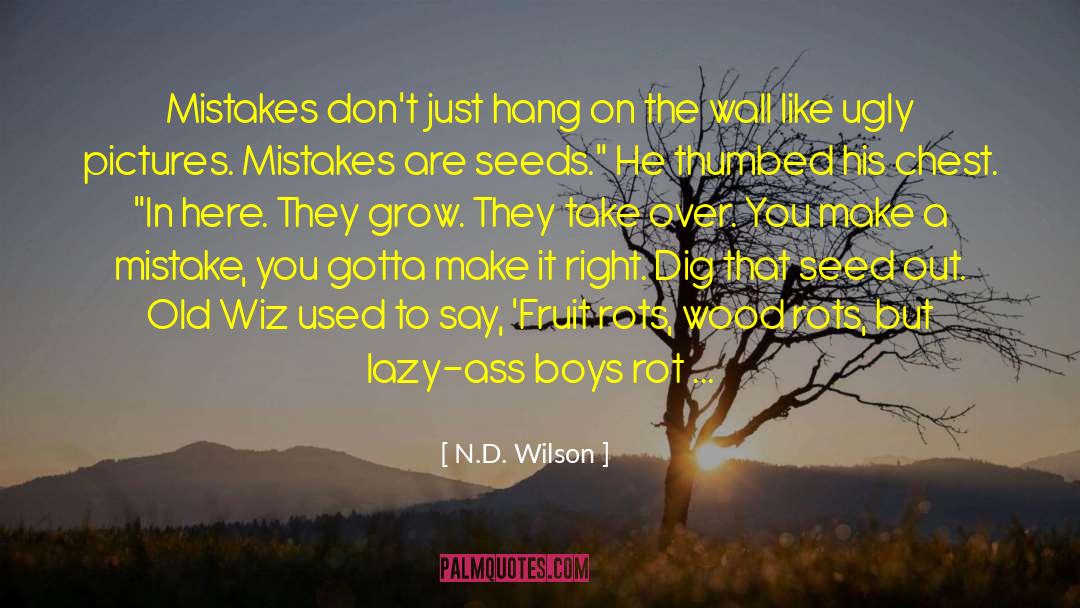 N.D. Wilson Quotes: Mistakes don't just hang on