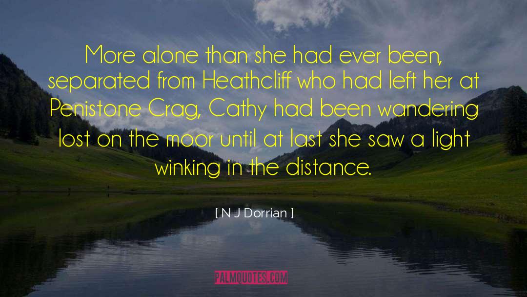 N J Dorrian Quotes: More alone than she had