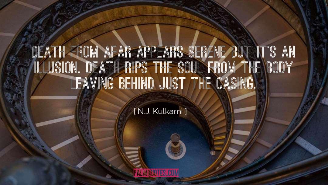 N.J. Kulkarni Quotes: Death from afar appears serene