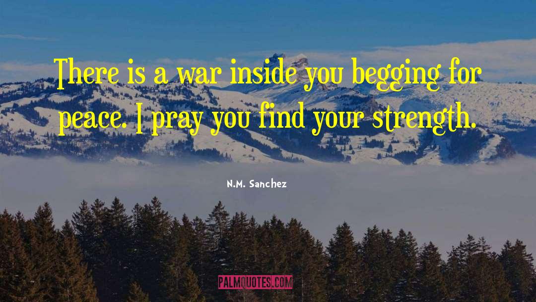 N.M. Sanchez Quotes: There is a war inside