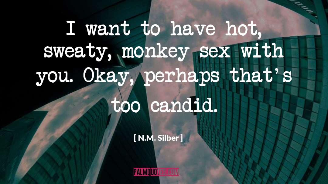 N.M. Silber Quotes: I want to have hot,