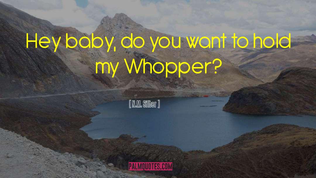 N.M. Silber Quotes: Hey baby, do you want