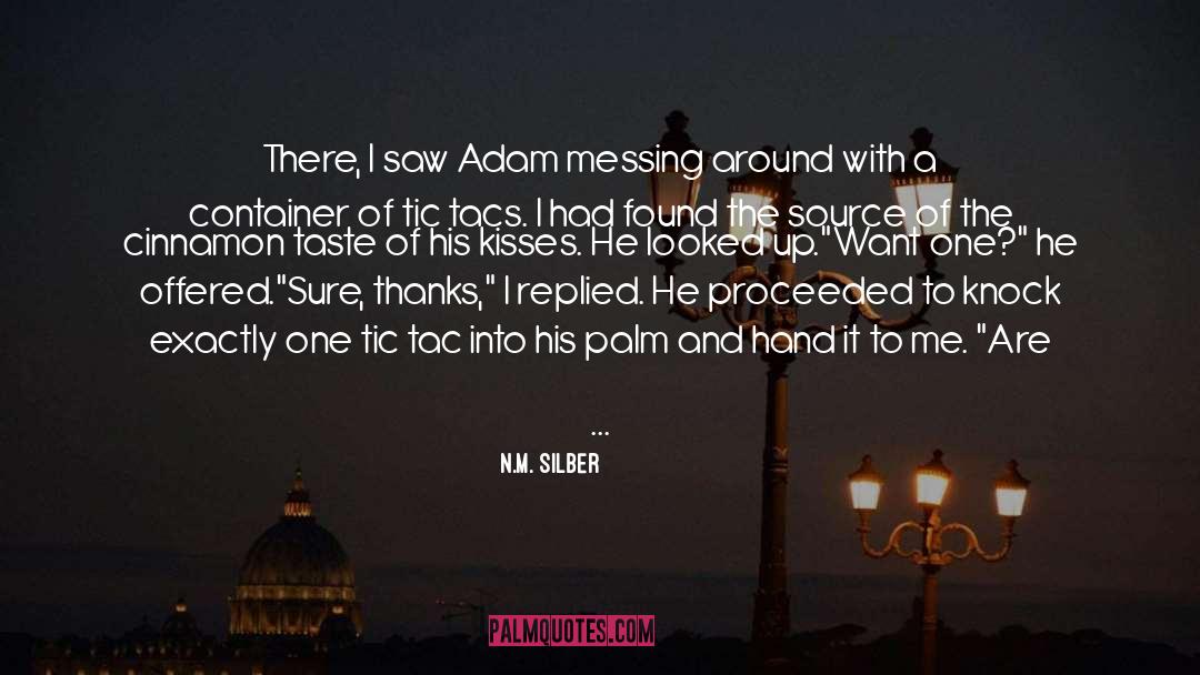 N.M. Silber Quotes: There, I saw Adam messing